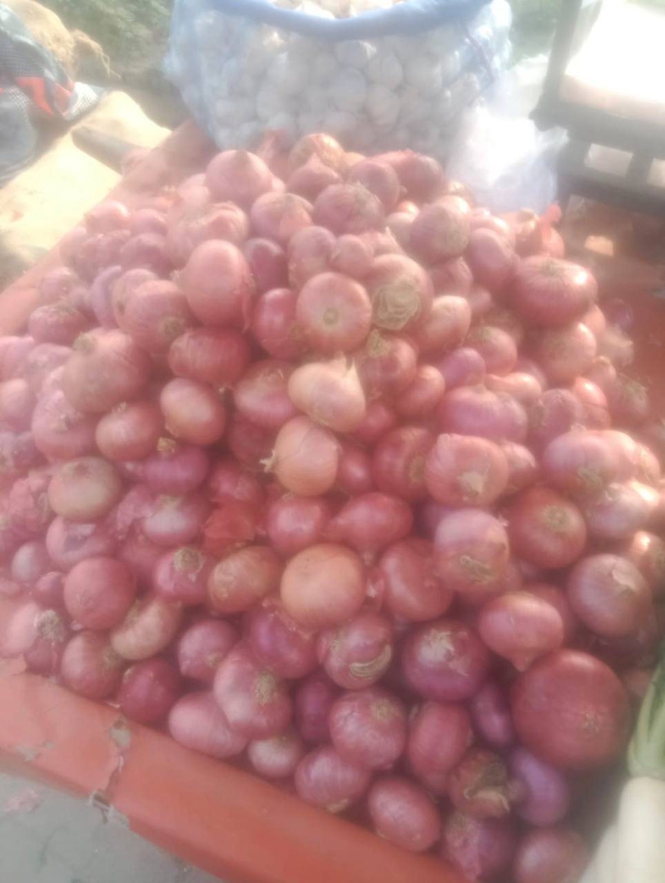 Red onion